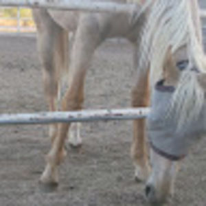 Meet your Posher, Bryana